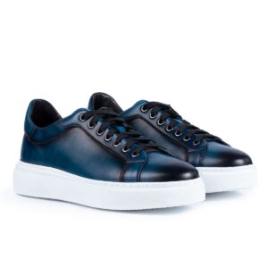 psb1_blue_2